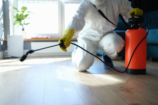 Reliable Odor Removal contractor in Caruthers, CA by Trauma Clean Pros